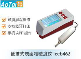 表面粗糙度仪leeb462(分体带线粗糙度仪)