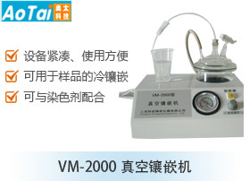 真空镶嵌机VM-2000
